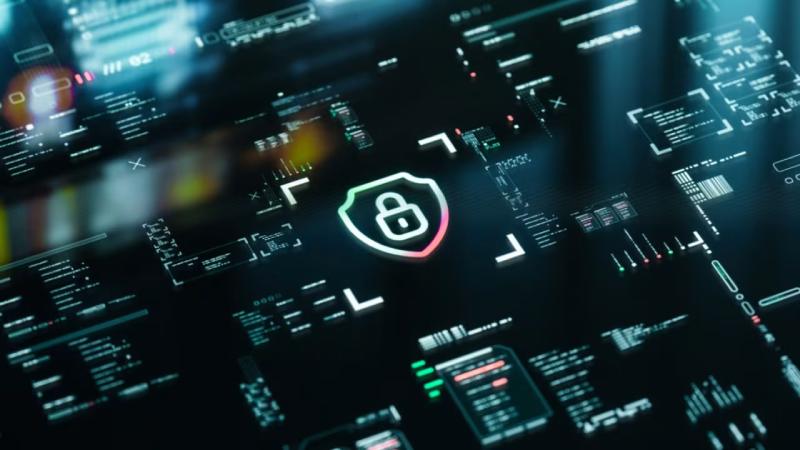 海东软件开发公司
